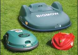 Group of robotic mowers